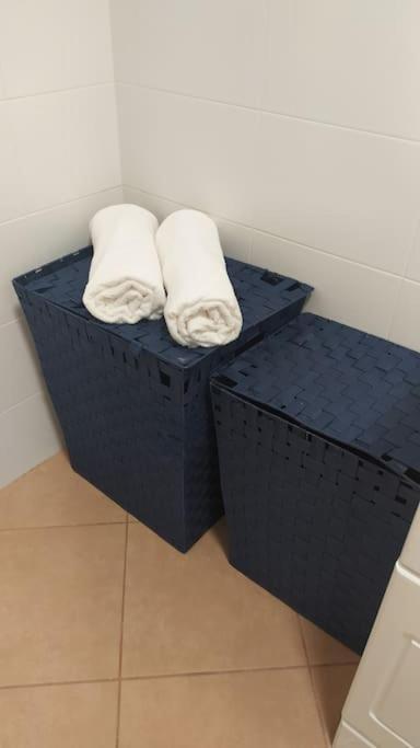 Apartamento Em Torreira - Nenufares Luaran gambar